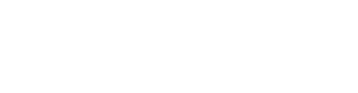 Floral Bliss　心に舞う、桜のひとひら。
