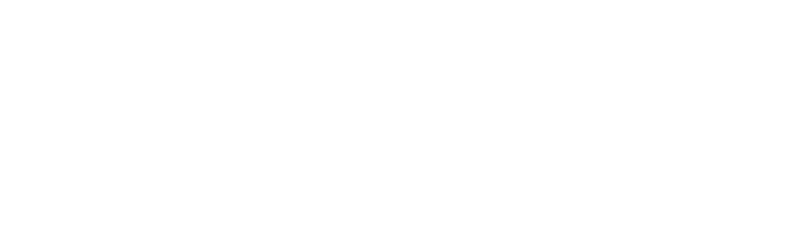 Timeless Form　秋が織りなす、美しい装飾。