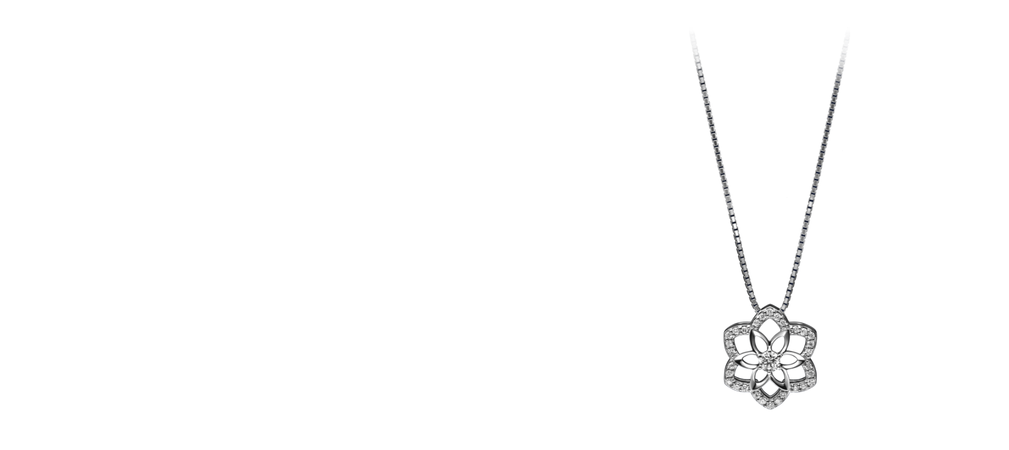 HOLIDAY COLLECTION 2025